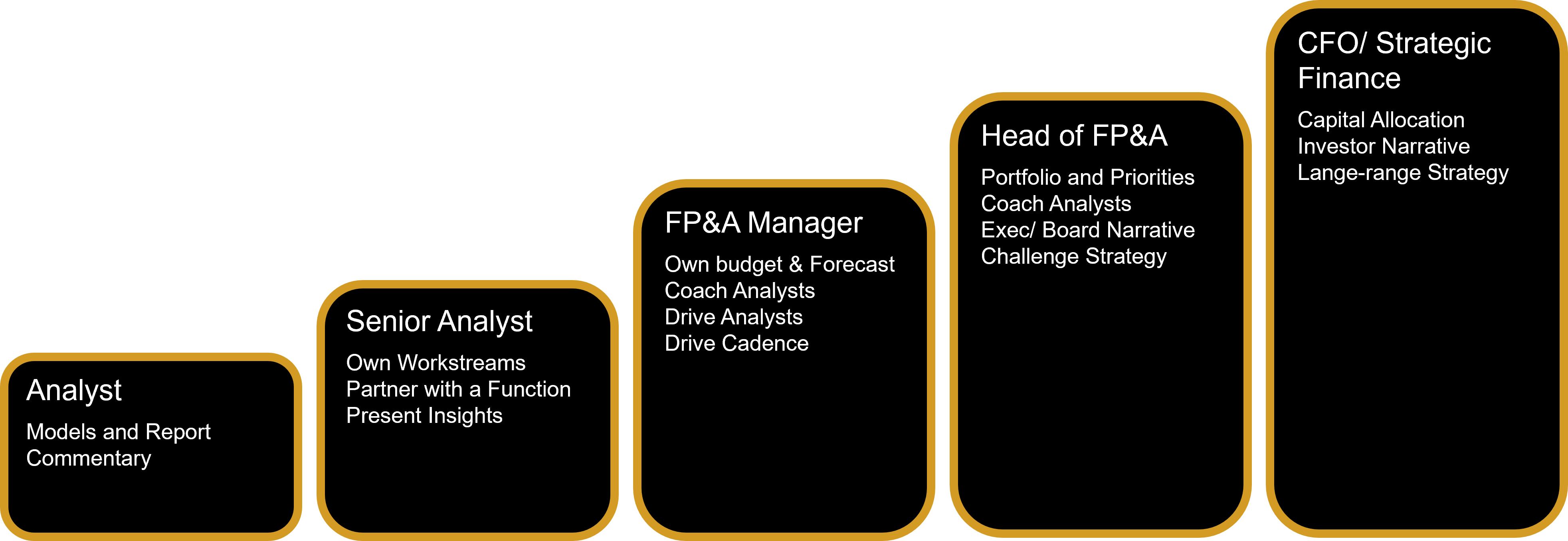 FP&A career ladder from Analyst to CFO